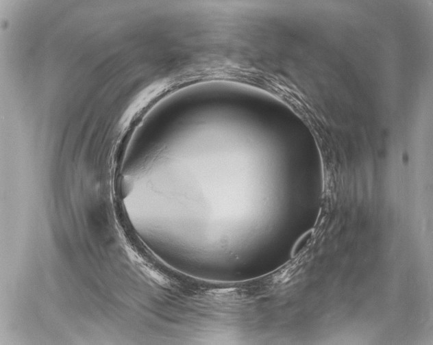 X0000060740054200511141143