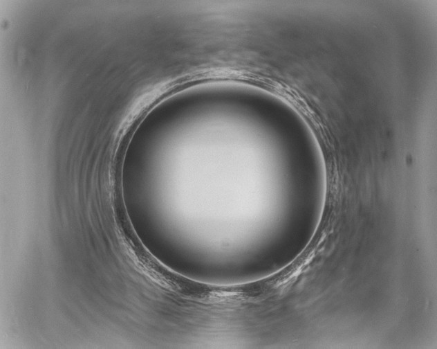 X0000060740055200511141143