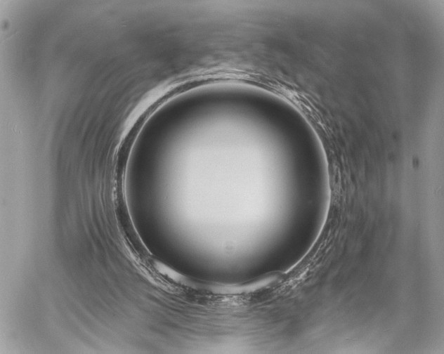 X0000060740056200511141143