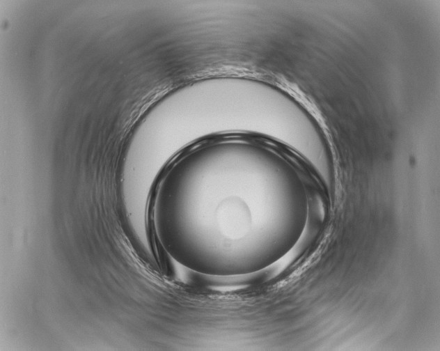 X0000060740057200511141143