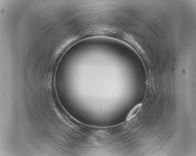 X0000060740058200511141143