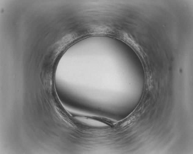 X0000060740059200511141143