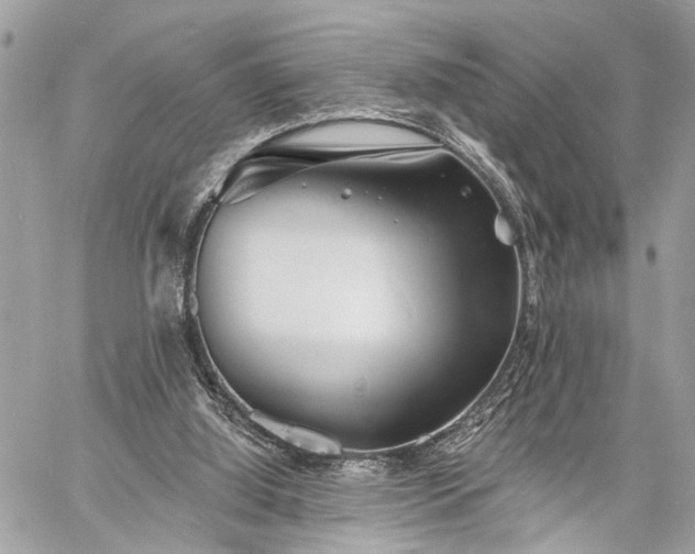 X0000060740060200511141143