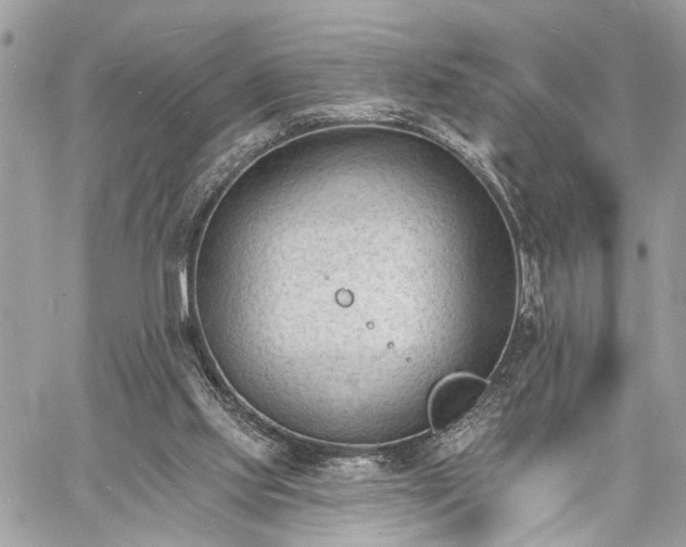 X0000060740061200511141143