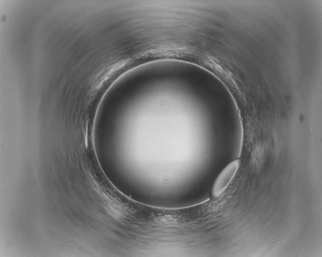 X0000060740062200511141143