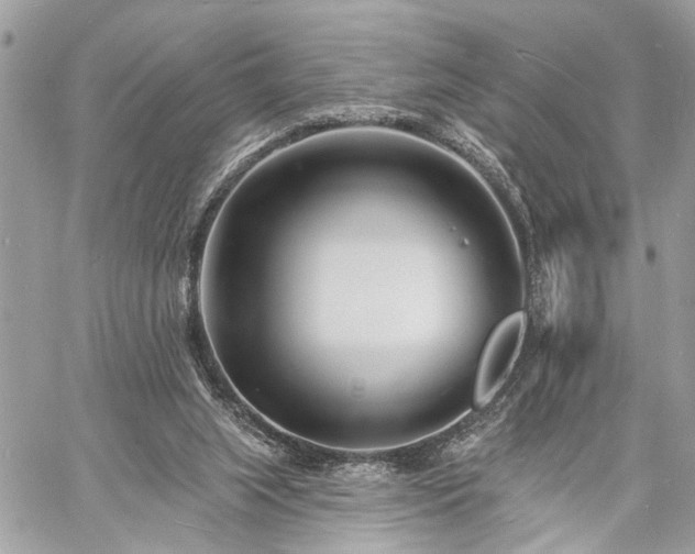 X0000060740063200511141143