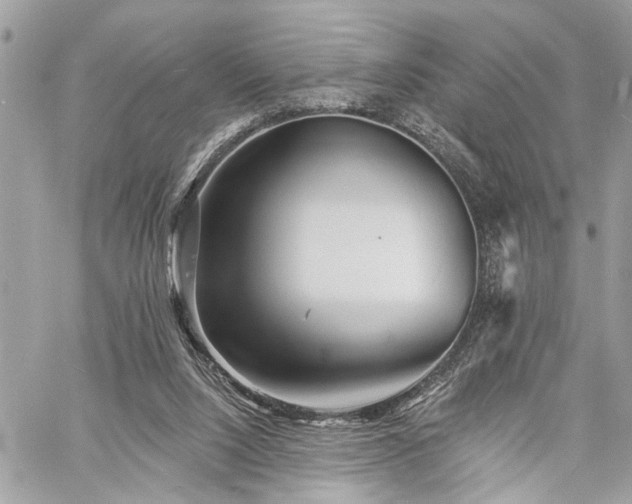 X0000060740064200511141143