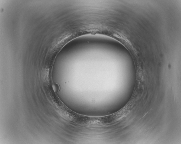 X0000060740066200511141144