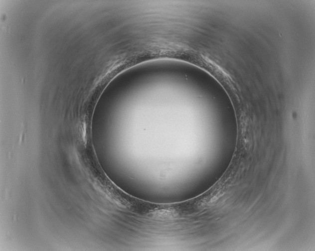 X0000060740067200511141144