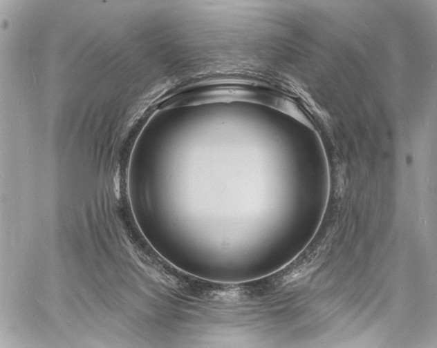 X0000060740068200511141144