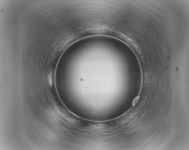 X0000060740069200511141144