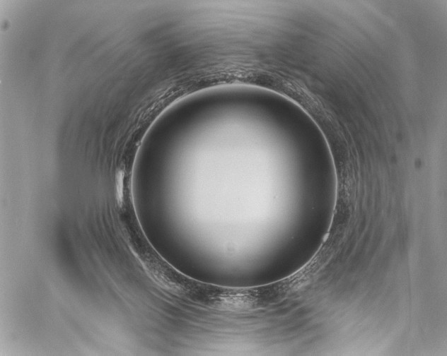 X0000060740070200511141144