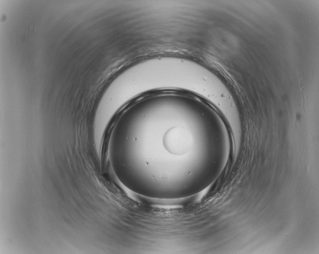 X0000060740071200511141144