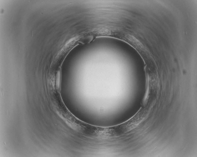 X0000060740072200511141144