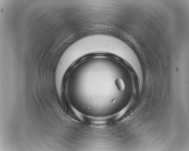 X0000060740073200511141144