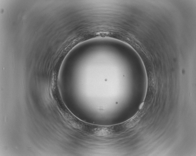 X0000060740074200511141144