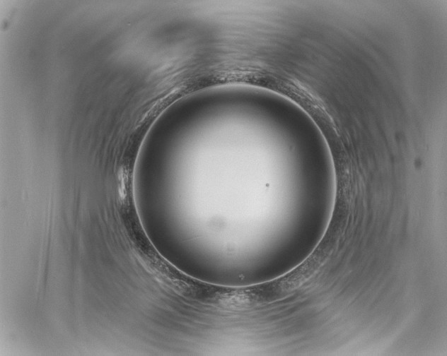 X0000060740075200511141144