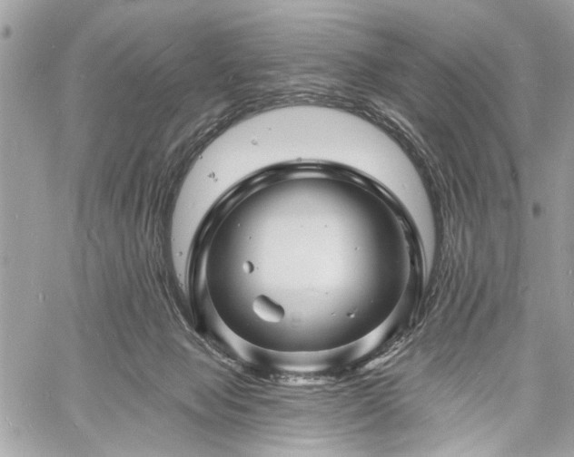 X0000060740077200511141144