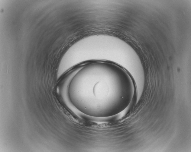 X0000060740079200511141144