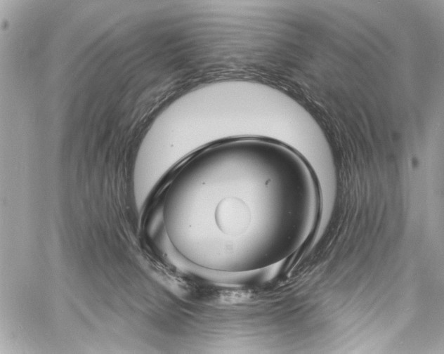 X0000060740080200511141144