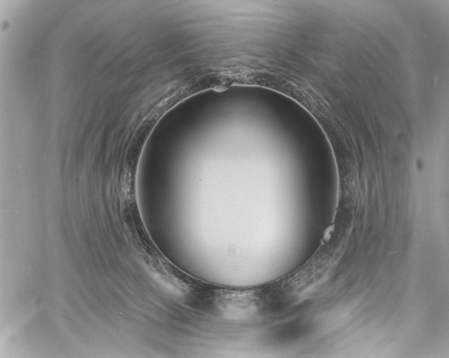 X0000060740081200511141144