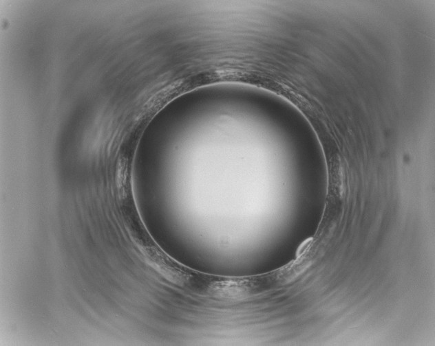 X0000060740082200511141144