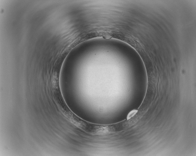 X0000060740083200511141144