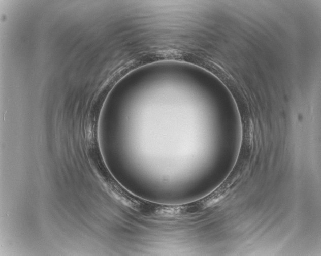 X0000060740084200511141144