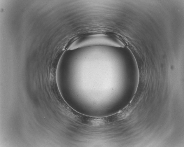 X0000060740085200511141144