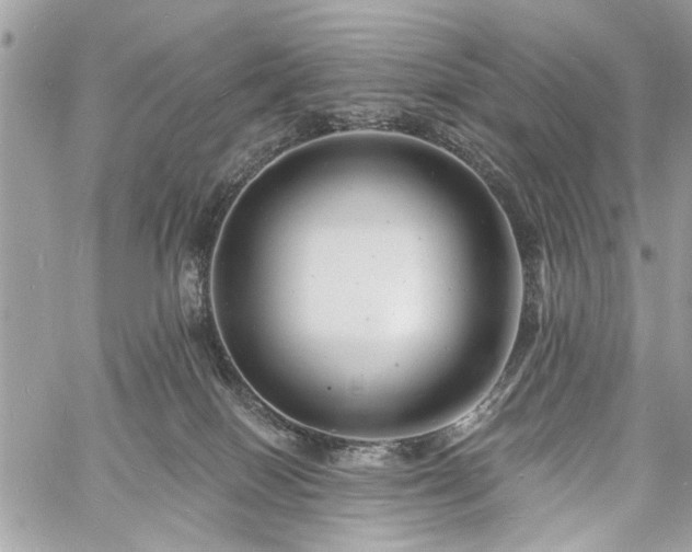 X0000060740086200511141144