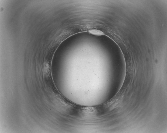 X0000060740087200511141144