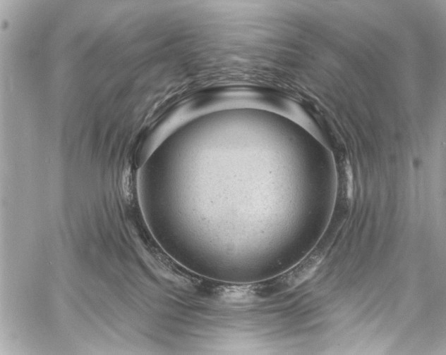 X0000060740088200511141144