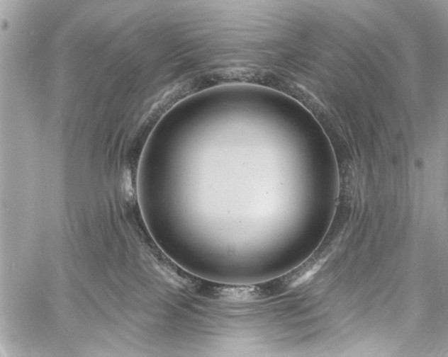 X0000060740089200511141144