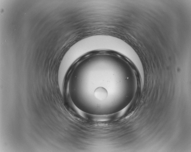 X0000060740091200511141144