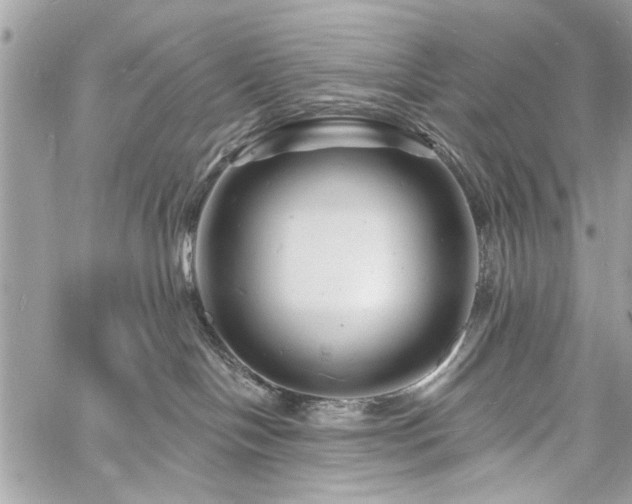 X0000060740094200511141144