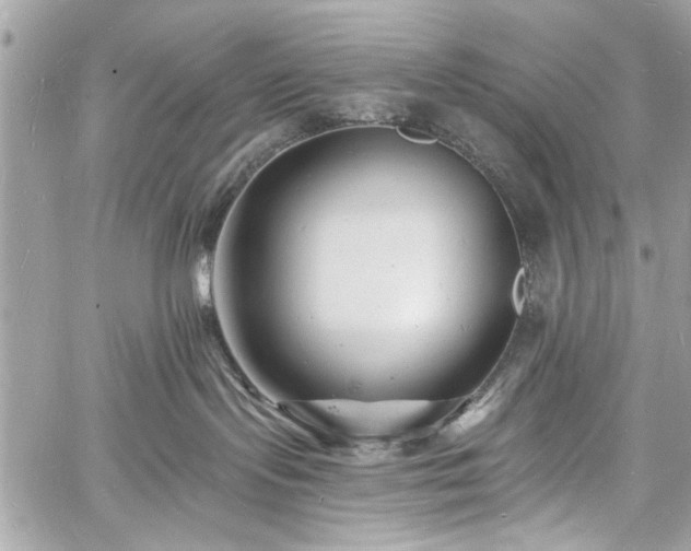 X0000060740095200511141144