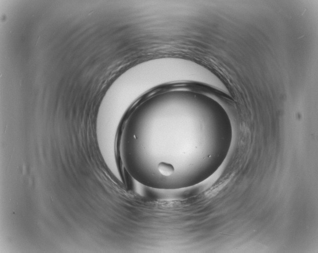 X0000060740096200511141144