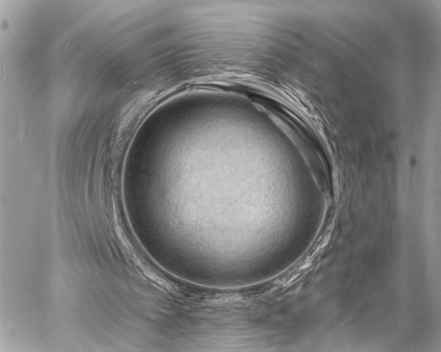 X0000060740097200511141143