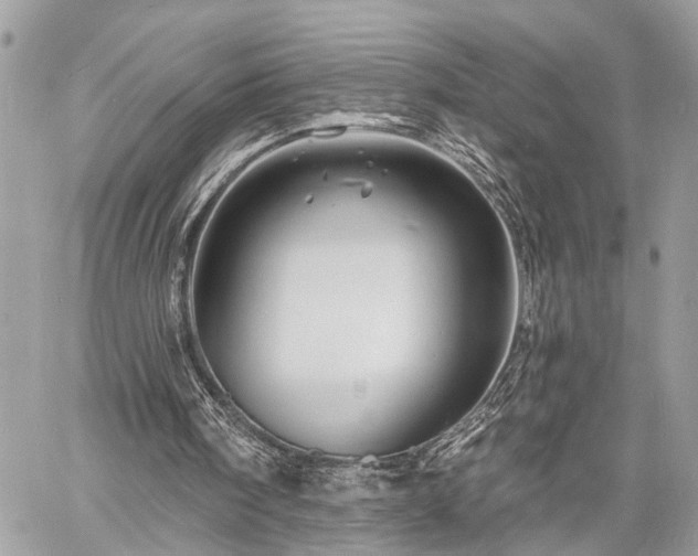 X0000060740098200511141143