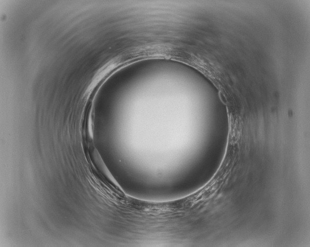 X0000060740099200511141143