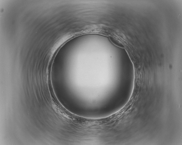 X0000060740100200511141143