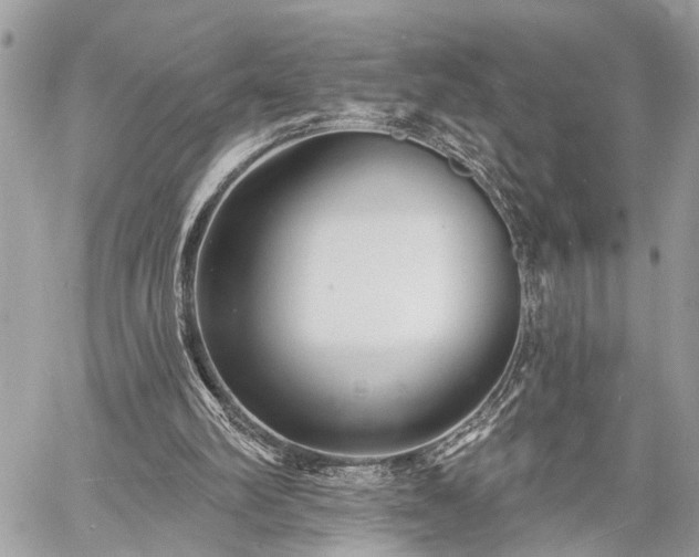 X0000060740102200511141143