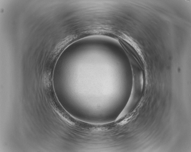 X0000060740105200511141143