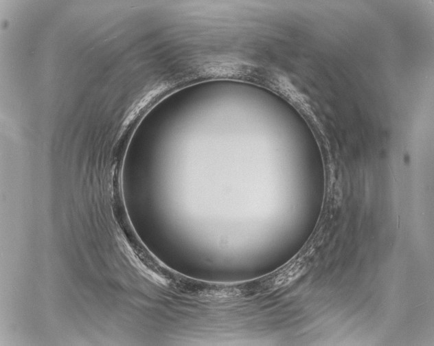 X0000060740106200511141143