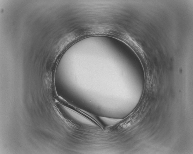 X0000060740107200511141143