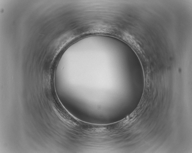 X0000060740108200511141143