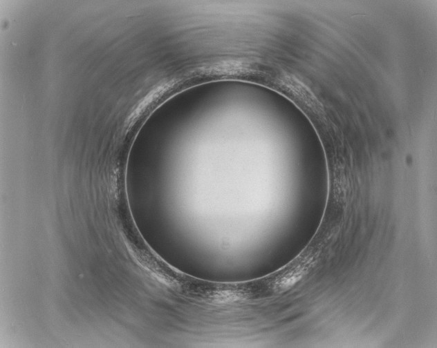 X0000060740111200511141143