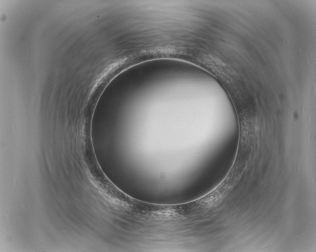 X0000060740112200511141143