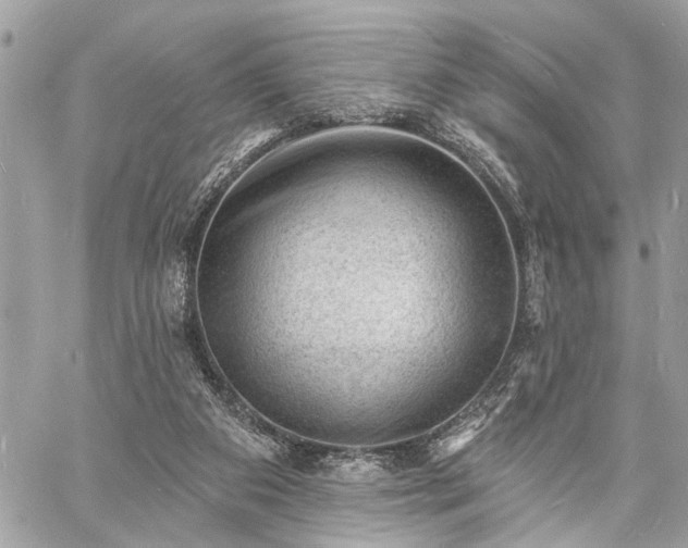 X0000060740113200511141143