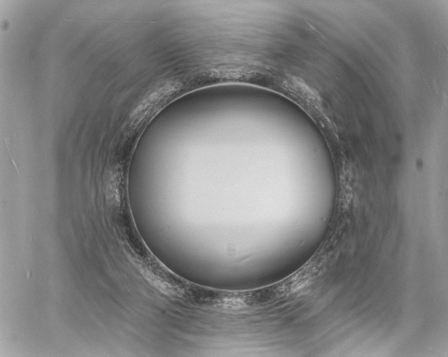 X0000060740114200511141143